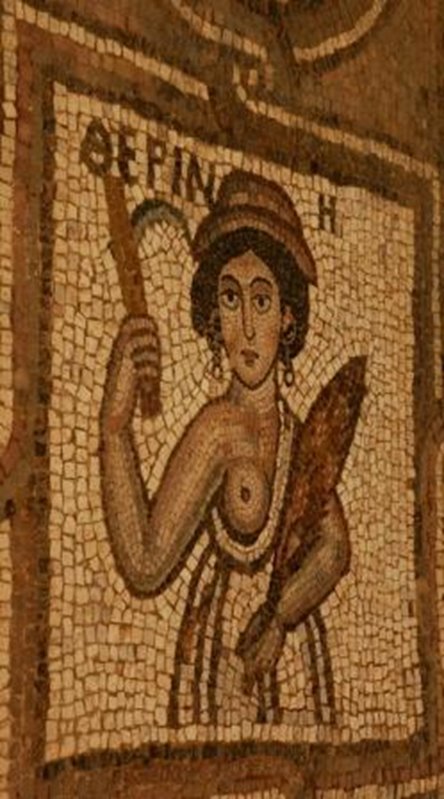 1361.jpg