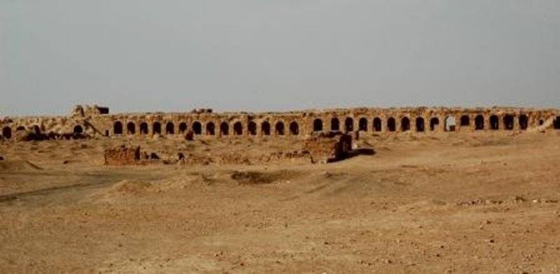 1461.jpg
