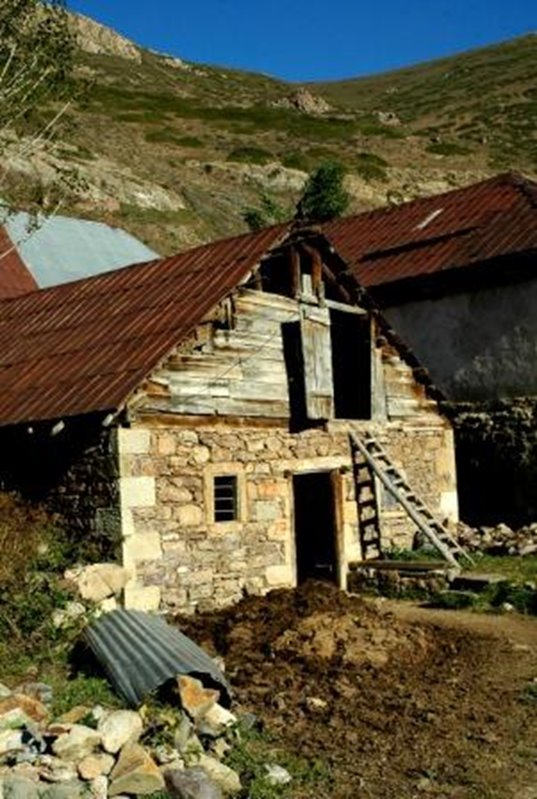 156.jpg