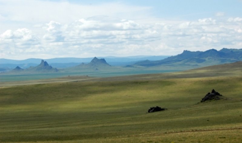 DSC_0040-t.jpg
