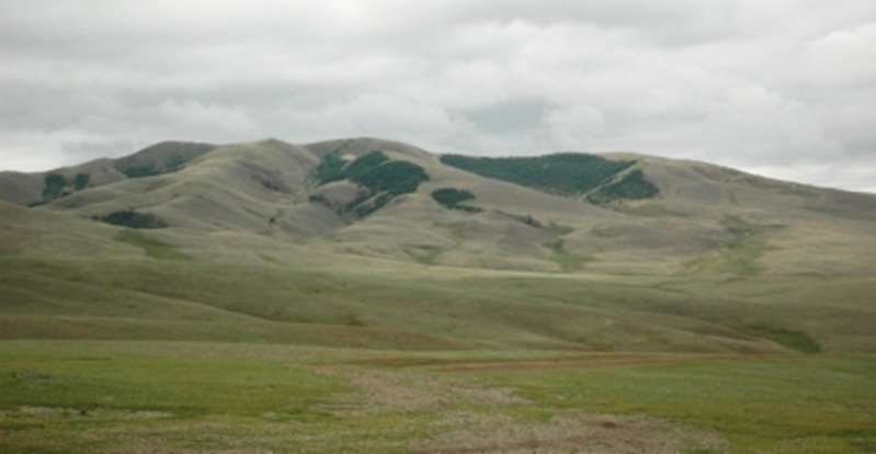 DSC_0152.jpg