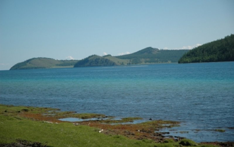 DSC_0197.jpg