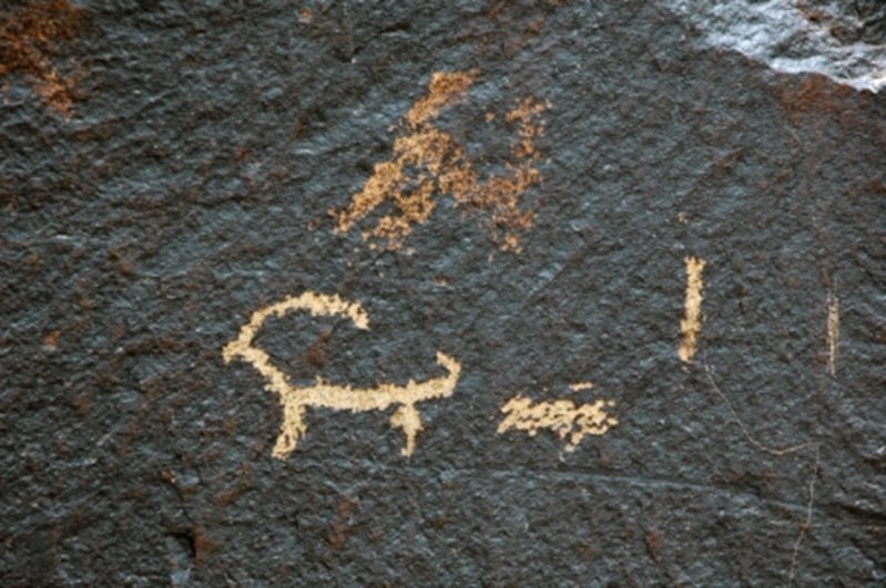 DSC_0404.jpg